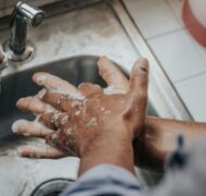 Melissa jeanty Ks4 RT Bg Q 64 unsplash